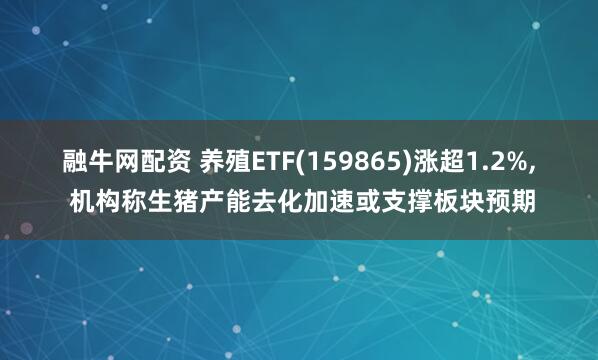 融牛网配资 养殖ETF(159865)涨超1.2%, 机构称生猪产能去化加速或支撑板块预期